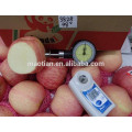 El mejor precio fuji apple stripe tamaños grandes